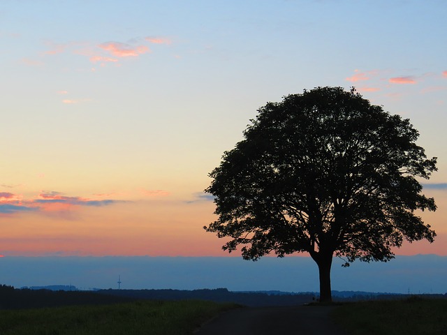 sunset-2690086_640