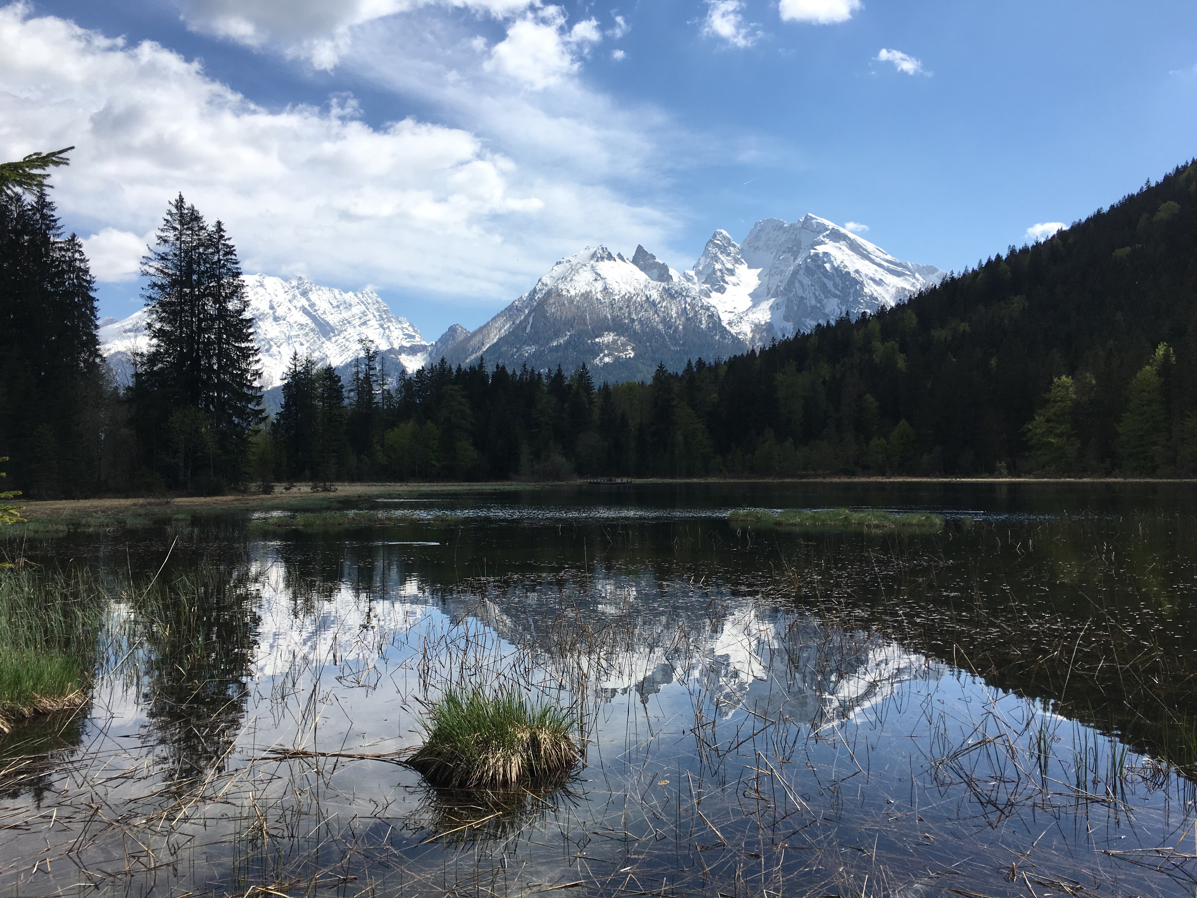 Idyllischen Taubensee Entdeckt In Der Ramsau B. Berchtesgaden ...