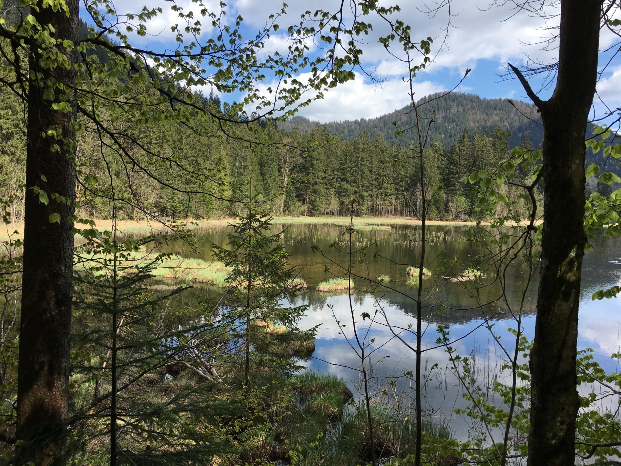 Idyllischen Taubensee Entdeckt In Der Ramsau B. Berchtesgaden ...