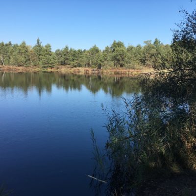 Schönramer Moor / Landkreis Traunstein