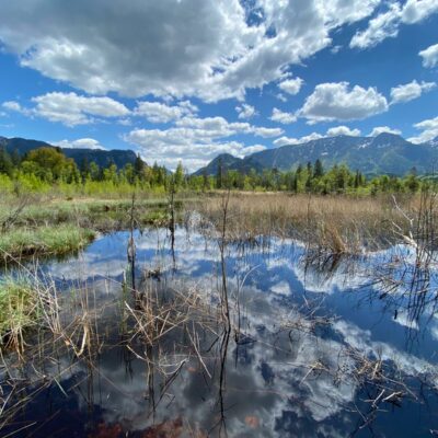 Zeitreise im Inzeller Moor