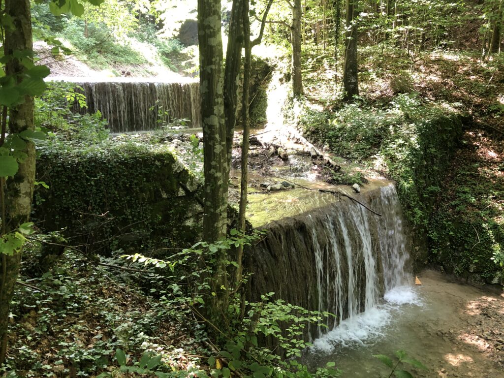 Wasserfall Grießenbach im Landkreis Traunstein - Bärenstarker Ausflugstipp für Familien und Kinder