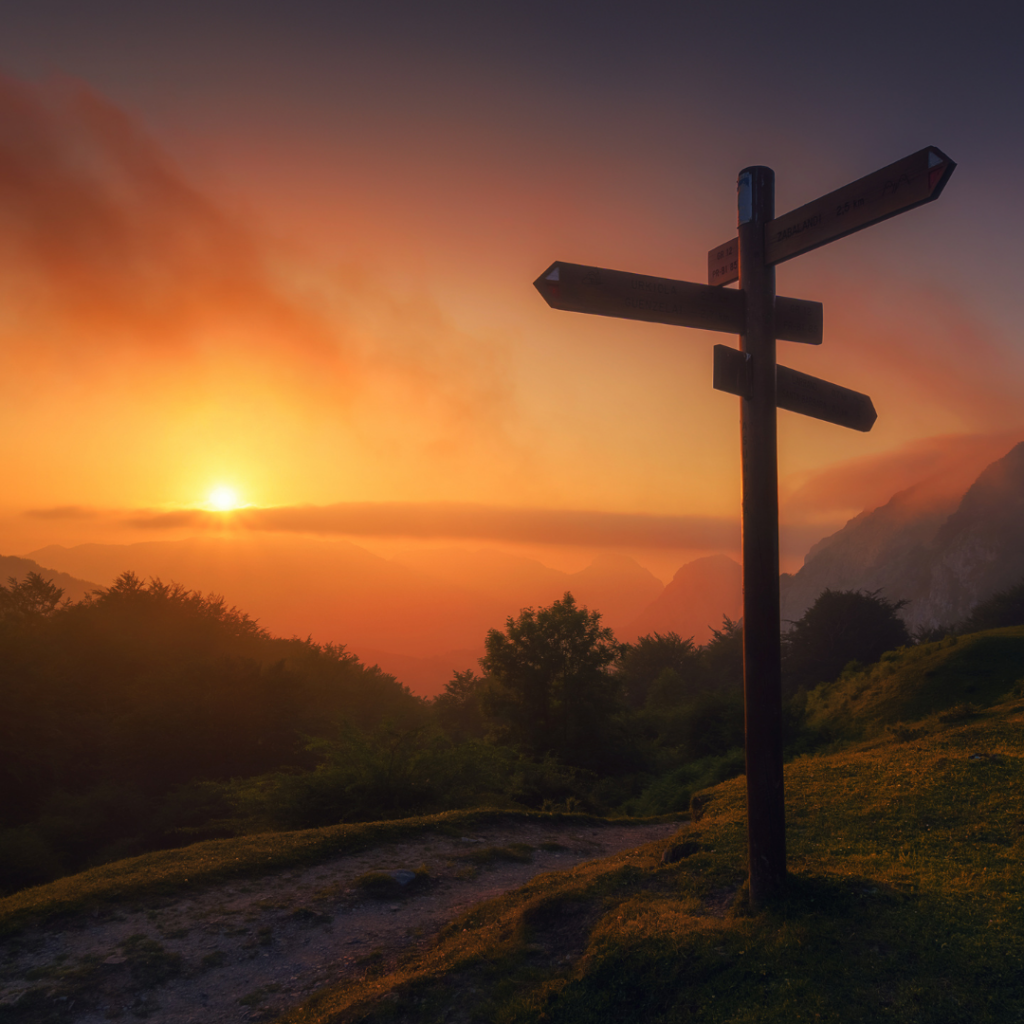 Partner werden im Familienatlas vom Netzwerk Bärenstark im Leben für Salzburg, Traunstein, Berchtesgadener Land